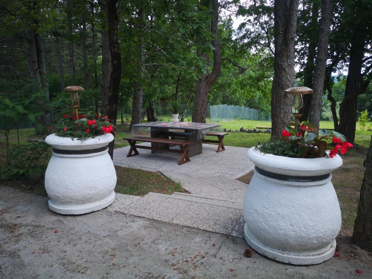 Villa Pineta Gračišče Exterior foto